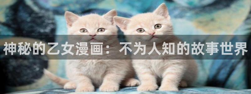 歪歪漫画汗汗漫画韩漫：神秘的乙女漫画：不为人知的故事世界