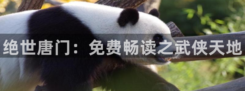 纲手被歪歪漫画漫画免费：绝世唐门：免费畅读之武侠天地